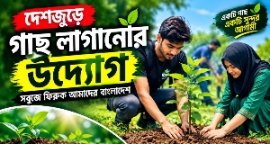 দেশের বিভিন্ন অঞ্চলে বাড়ছে গাছ লাগানোর উদ্যোগ